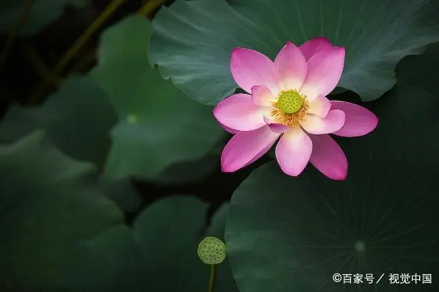 几个实用的拍摄景物小技巧，平时