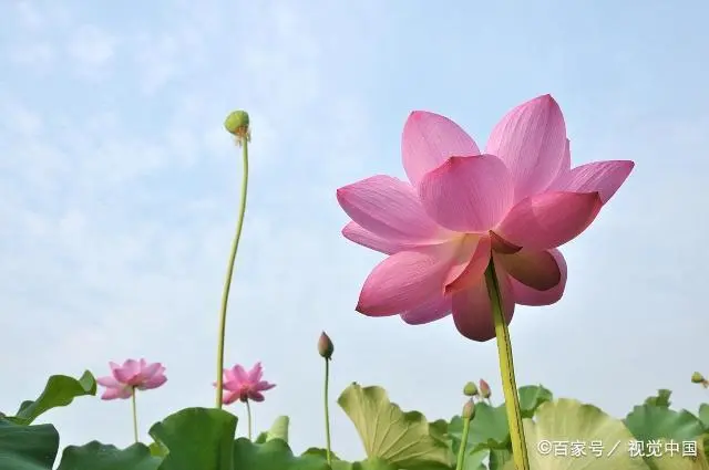 几个实用的拍摄景物小技巧，平时