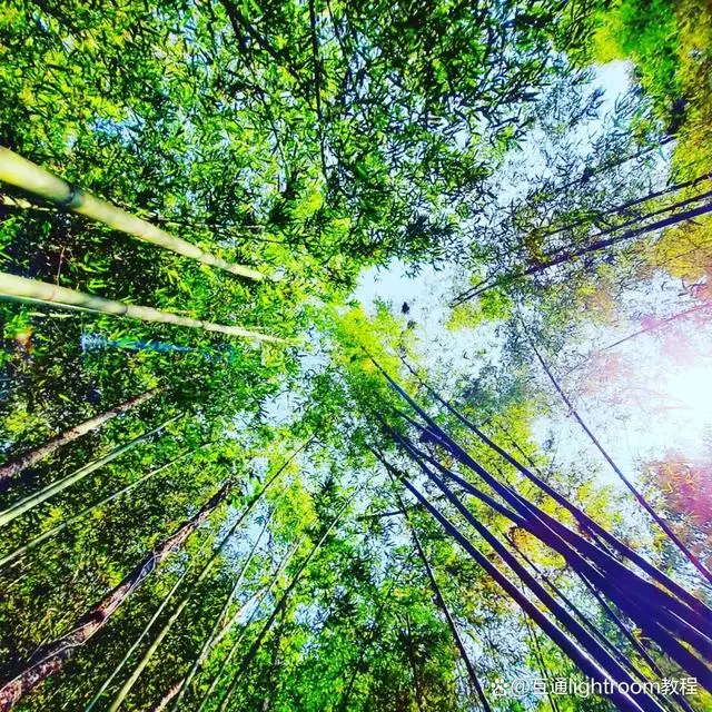 有没有想过怎样让我们社交主页照