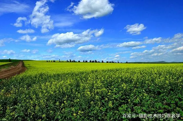 摄影技术真的算是“系统”工程