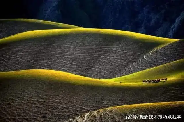 摄影技术真的算是“系统”工程