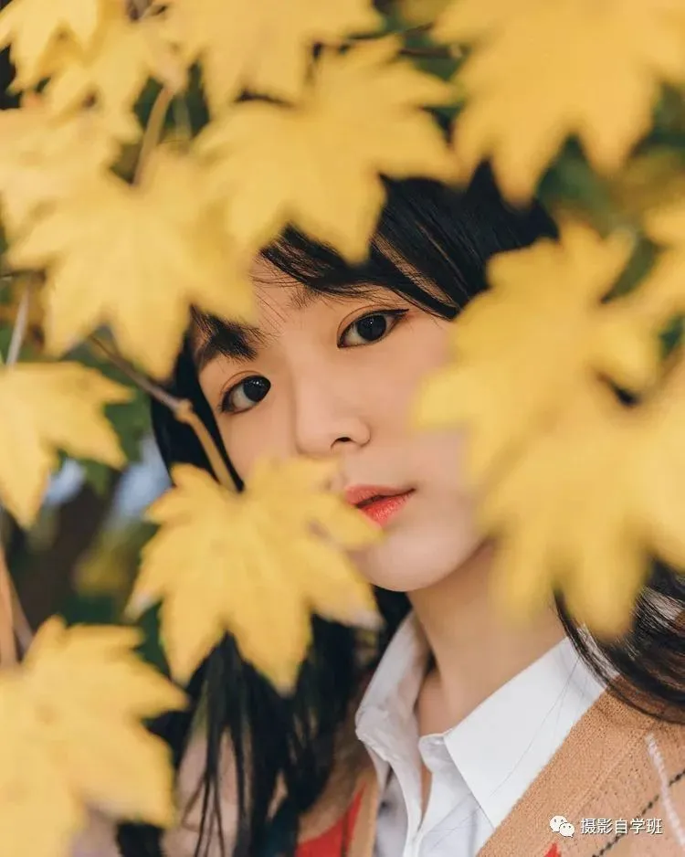 【摄影自学班】秋天绝美大片咋拍