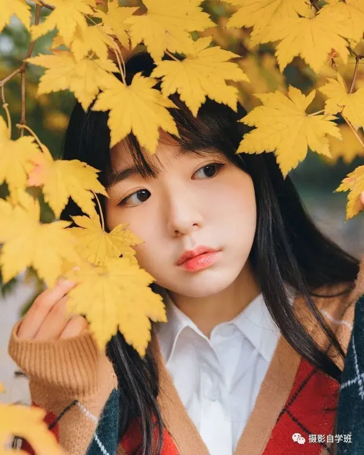 【摄影自学班】秋天绝美大片咋拍