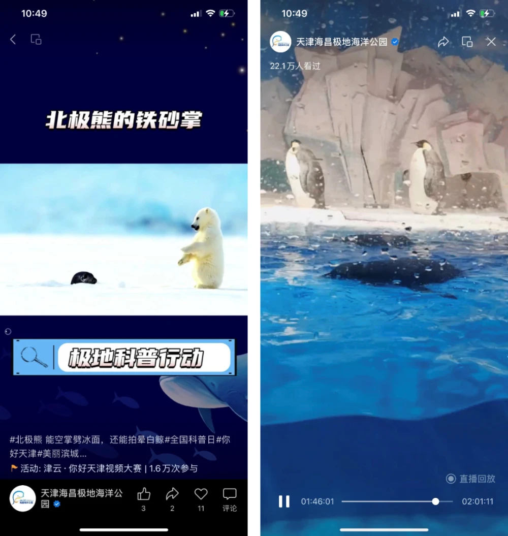旅游人做短视频的“钱景”何在