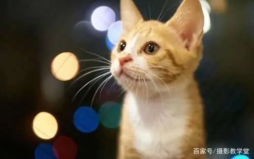 4中常用的拍摄技巧，你学会了吗
