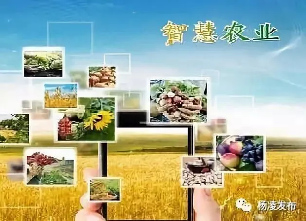 河南省：坚持农业农村优先发展科