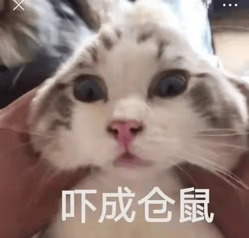 兼职 
女孩新增一例新冠肺炎案