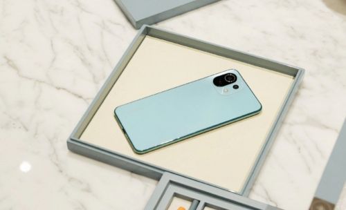 手机 美丽的春天不要10Pro