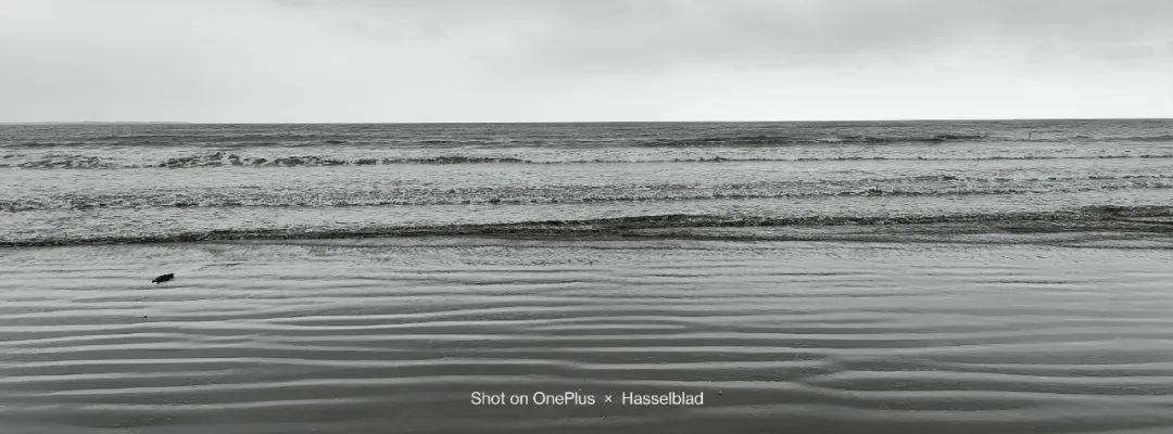 手机 托尼首推红米Note11