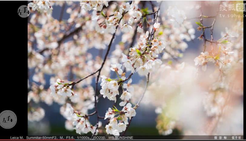 拍摄技巧|年头年尾焦点对应,调 拍摄技巧|年头年尾焦点对应,调