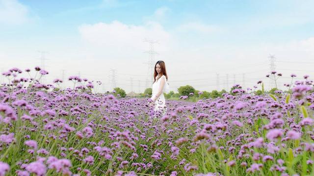 学会这些摄影小技巧,你也能拍出 学会这些摄影小技巧,你也能拍出