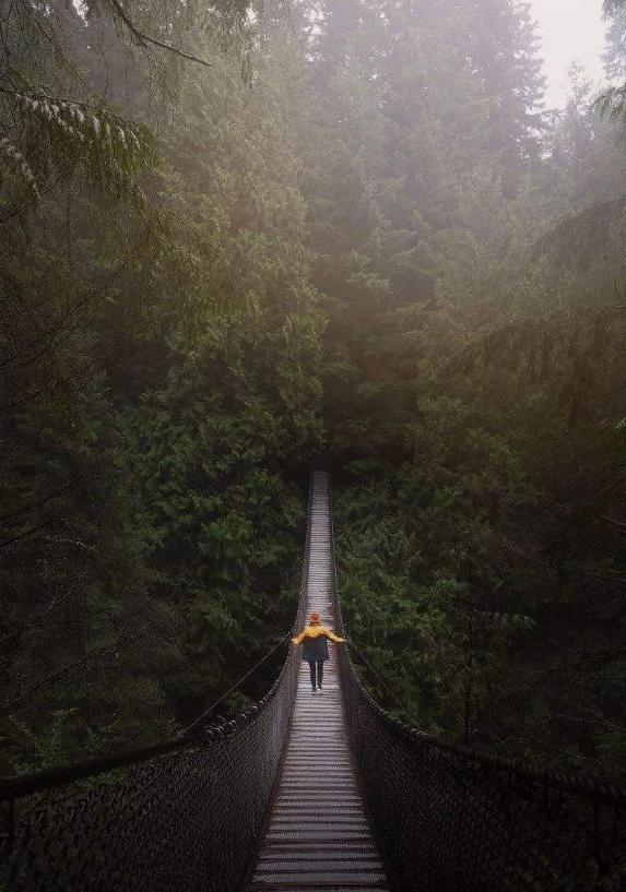 学会这些摄影小技巧,你也能拍出 学会这些摄影小技巧,你也能拍出