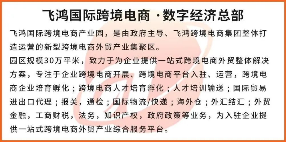 拼多多Temu上线不足两个月已