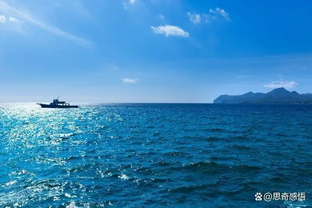 赚钱和创业的区别，为什么创业比