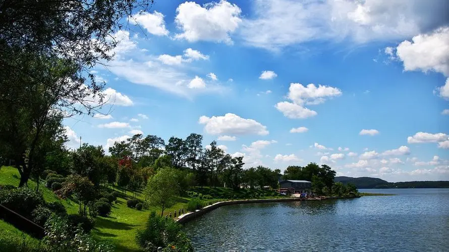 “社交电商”+“广告分佣”的三