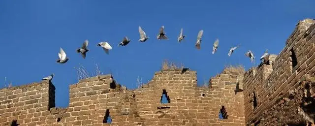 拍摄技巧|_拍摄逆光技巧_史蒂文 斯皮尔伯格介绍善用的拍摄方式以及叙事技巧
