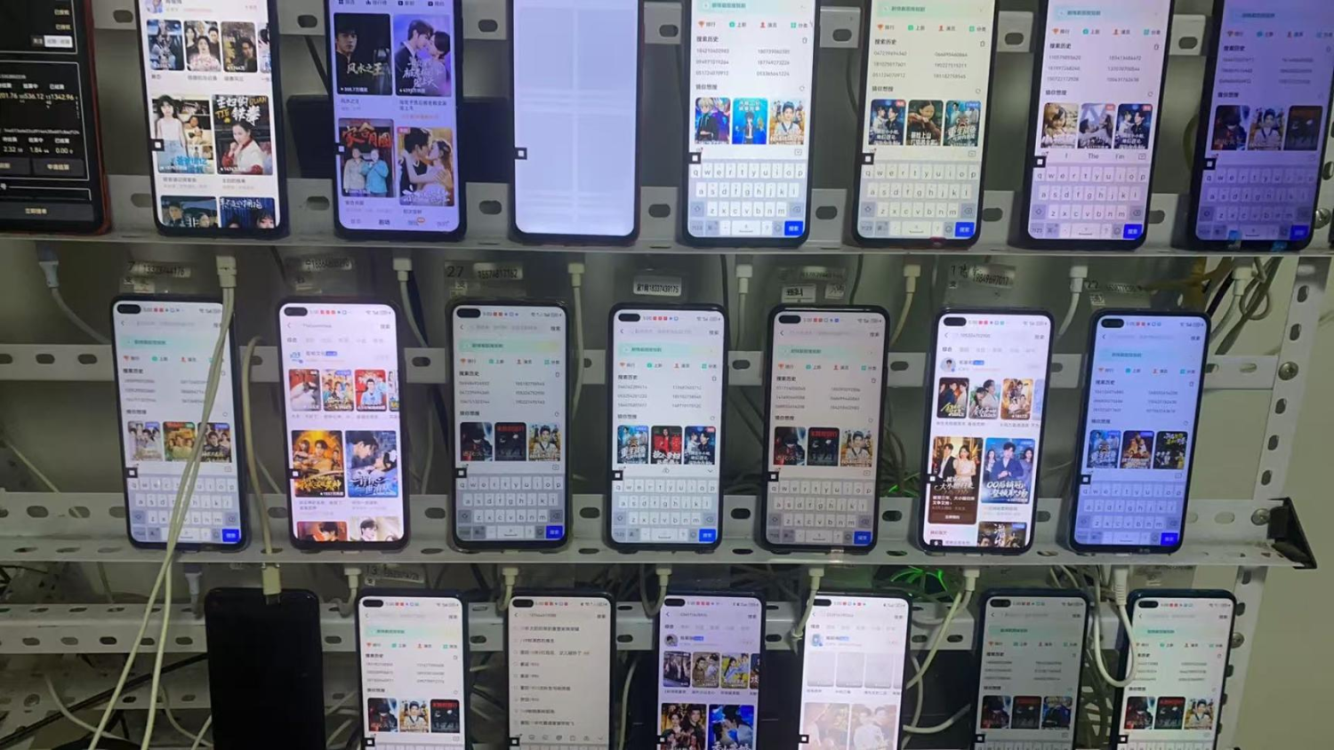 外面收费1988的挂机项目福云红果全自动挂机做任务，单机30+