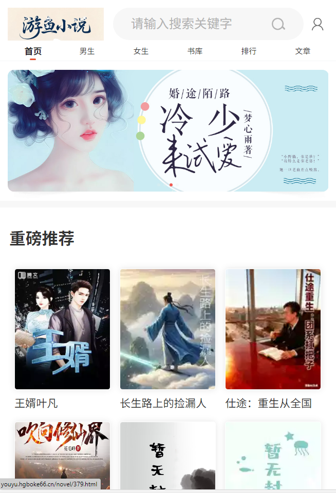 搭建小说网站，对接广告联盟赚米 长期稳定副业