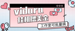 外面收费8000的vidara挂机撸美金项目，单日收益30美金+工作室可批量搞-虎哥说创业
