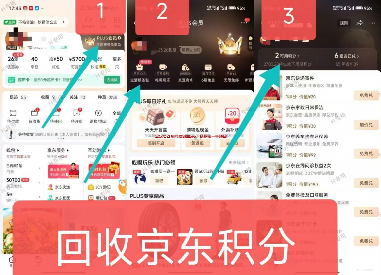 揭秘京东PLUS积分回收赚钱项目-虎哥说创业