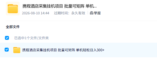 图片[4]-携程酒店采集挂G项目，批量可矩阵，单机轻松日入300+，开启你的睡后收入模式!【揭秘】-虎哥说创业